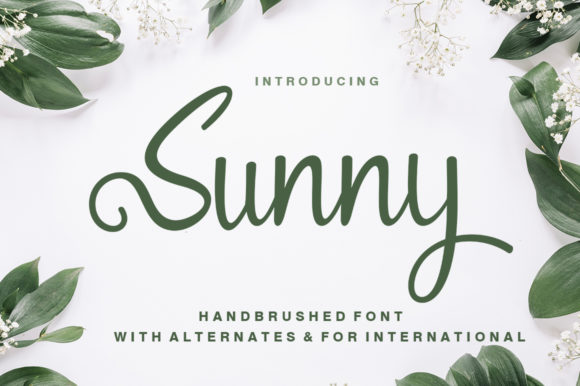 Sunny Font Poster 1