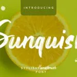 Sunquish Font Poster 1