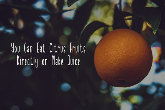 Sweet Orange Font Poster 3