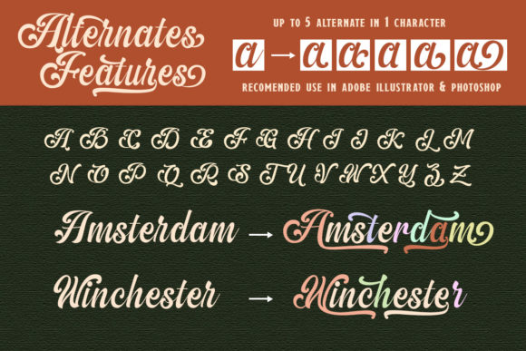 The Amberton Font Poster 8