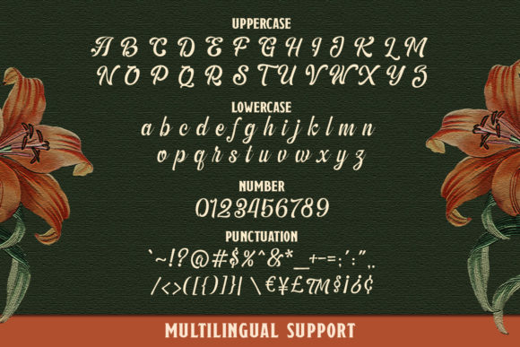 The Amberton Font Poster 9