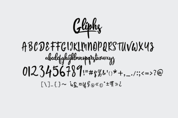 The Boardy Font Poster 13