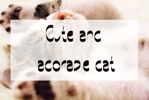 The Cat Font Poster 2