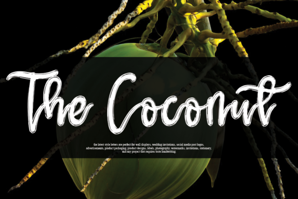 The Coconut Font Poster 1