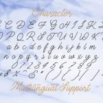 The Gallery Font Poster 14