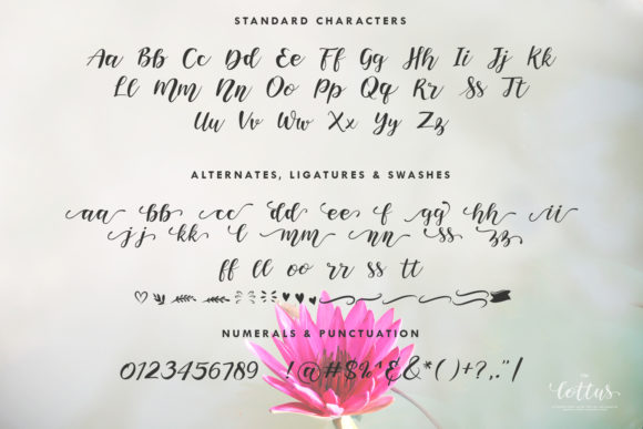 The Lottus Font Poster 9