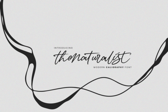 The Naturalist Font Poster 1