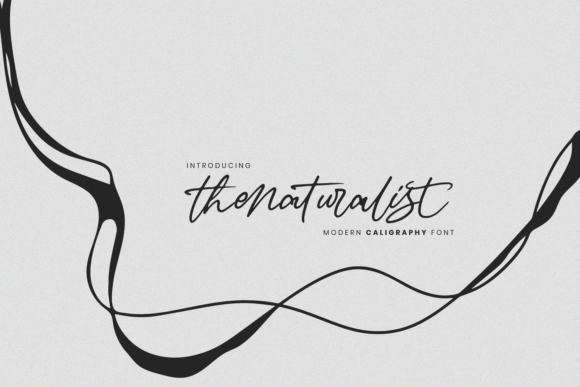 The Naturalist Font The Naturalist Font Poster 1