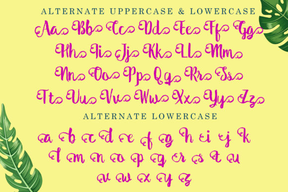 The Shutterain Font Poster 5