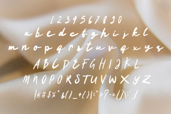 The Signdy Font Poster 4