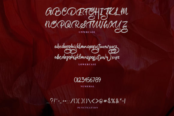 The Vignature Font Poster 5