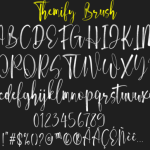 Themify Brush Font Poster 5