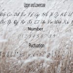 Toqwomeri Font Poster 2