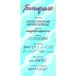 Townsquare Font Poster 6