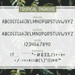 Tropical Paradise Font Poster 4