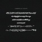 Tumbrella Font Poster 10