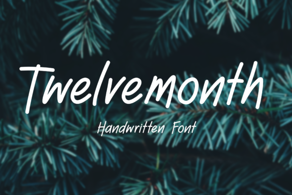 Twelve Month Font Poster 1