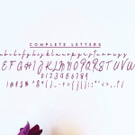 Vadimbrush Handwriting Font Poster 4