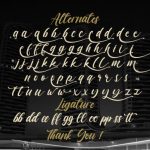 Vagnotie Font Poster 15
