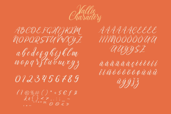 Valiie Font Poster 8