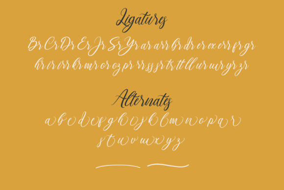 Valiie Font Poster 9
