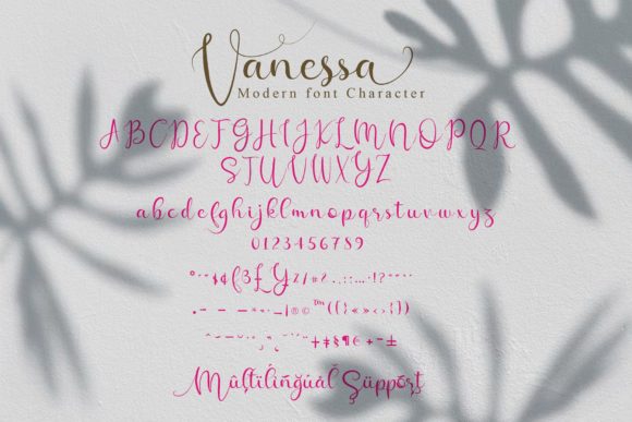 Vanessa Font Poster 3