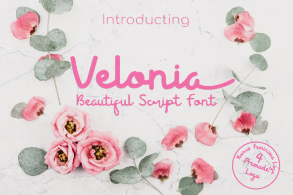 Velonia Font