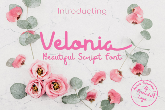 Velonia Font Velonia Font Poster 1