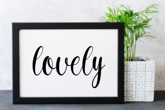 Velvet Font Poster 3
