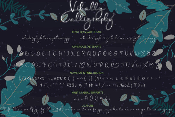 Vibally Calligraphy Font Poster 6
