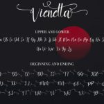 Vienetta Font Poster 7