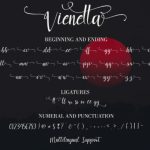 Vienetta Font Poster 8