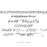 Viesta Font Poster 10