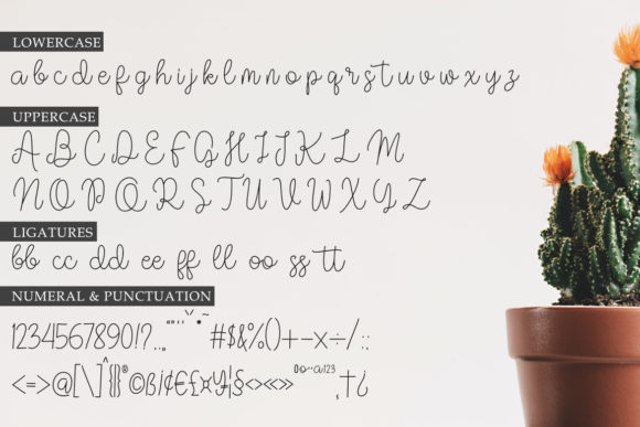 Vilova Font Poster 8