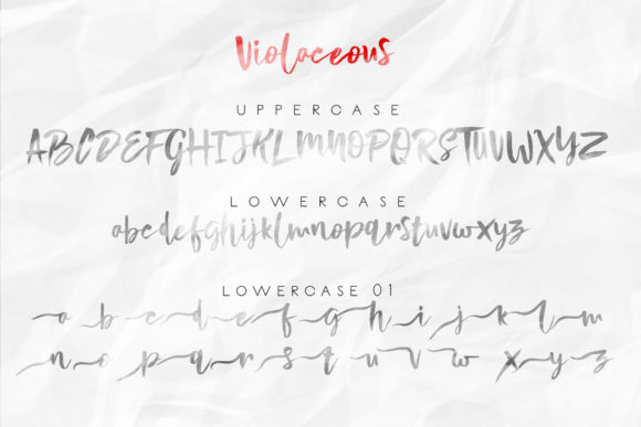 Violaceous Font Poster 9