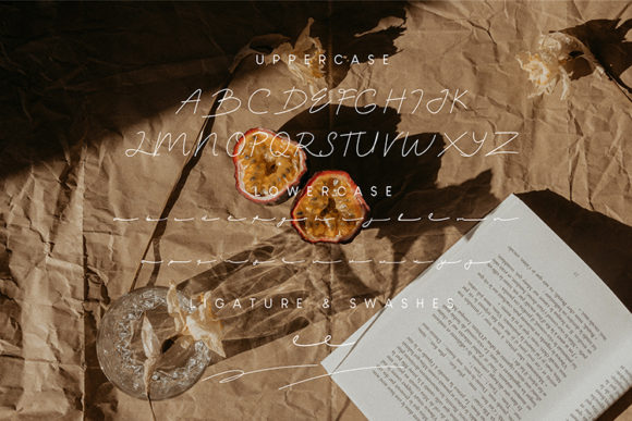 Virghie Font Poster 2