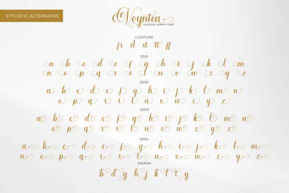 Voyntea Font Poster 10