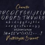 Vuttaline Font Poster 14