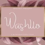 Washllo Font Poster 2