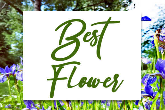Western Flower Font Poster 3