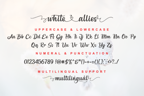White Allies Font Poster 2