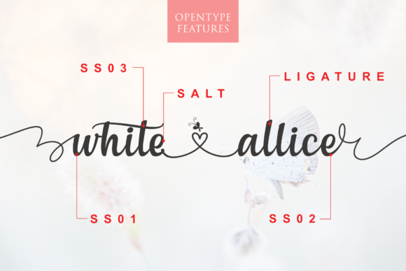White Allies Font Poster 4