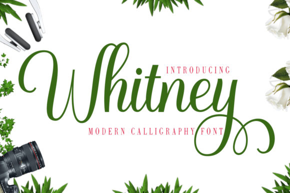 Whitney Font Poster 1