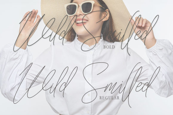 Wild Smilled Font Poster 2