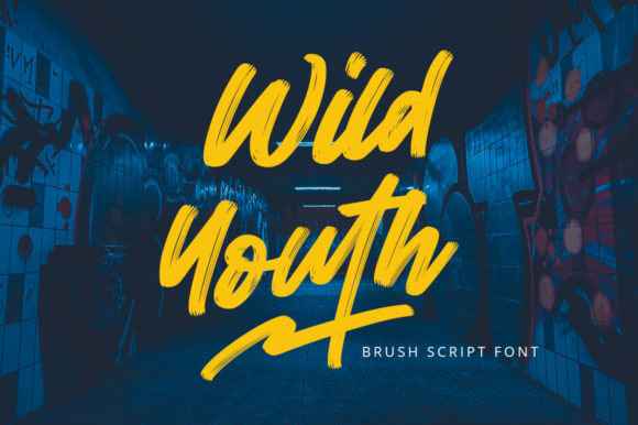 Wild Youth Font Poster 1