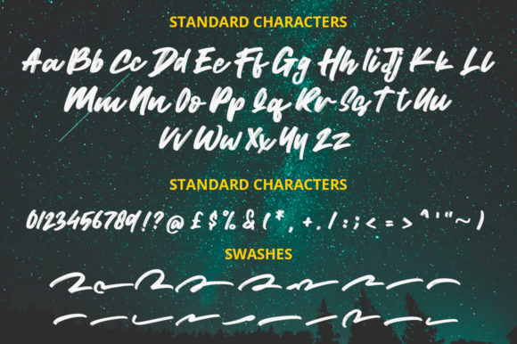 Wild Youth Font Poster 11