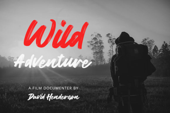 Wild Youth Font Poster 9