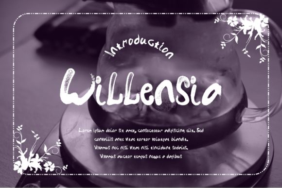 Willensia Font