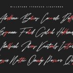 Willstand Duo Font Poster 5