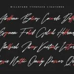 Willstand Duo Font Poster 5